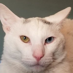 Meet your Posher, Joann